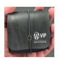 WP VIP Pinch Provisions Earbud Detailing Kit - image1