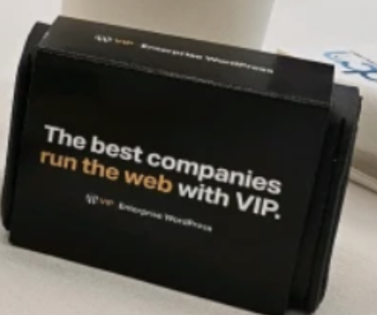 WP VIP Earbud Detailing Kit